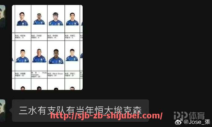 世俱杯直播-德甲球队波鸿球员名单中有哪些关键球员，他们表现如何？（波鸿 德甲）