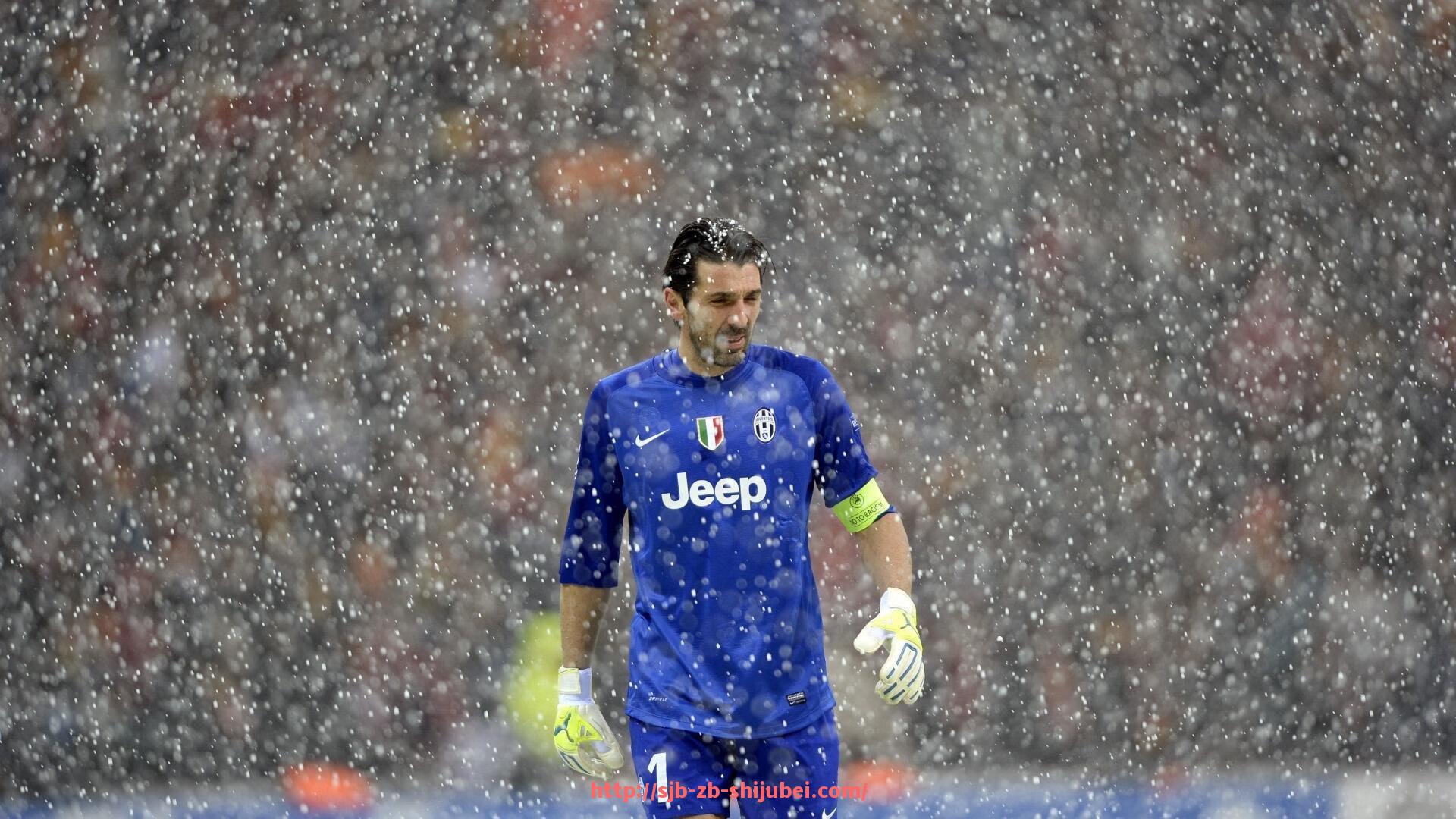 世俱杯直播-世俱杯直播平台用户偏好调研及数据分析